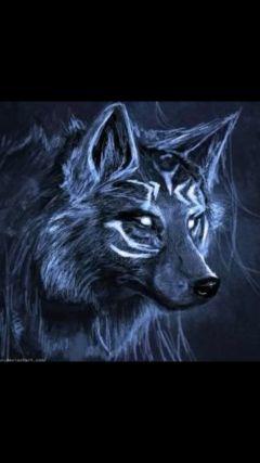 hi I'm wolf girl I love to play video games and I'm a wolf expter and I love to sing