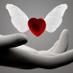 #@@# (@habibi252525) Twitter profile photo #@@# (@habibi252525) Twitter profile photo
