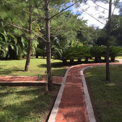 Josemp001's profile picture. 