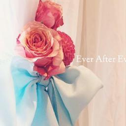 EviEvangelie's profile picture. 