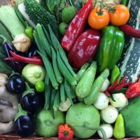 Mr Sollys (@mrveggieman) 's Twitter Profile