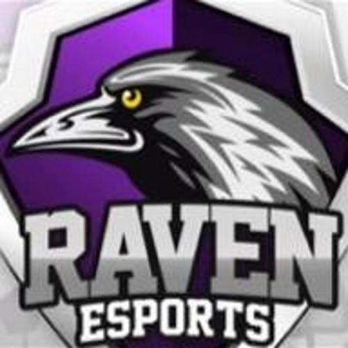 Raven_eSports_'s profile picture. 