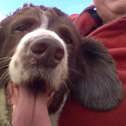 mudgiem00's profile picture. 