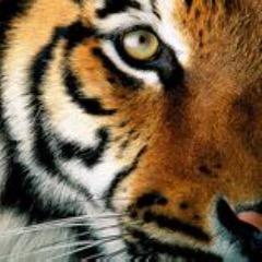 Keeping you up-to-date with events in the Clemson Area.
Not affiliated with Clemson University