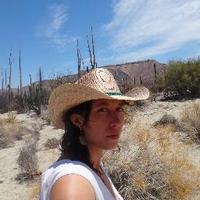 María EarlyCapistrán (@earlycapistran) 's Twitter Profile