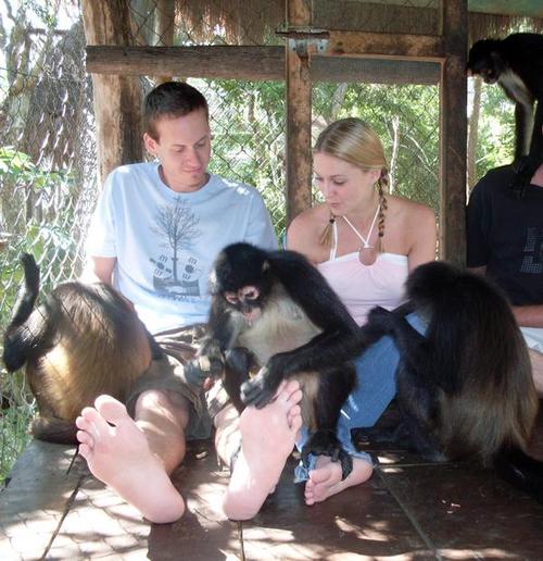 MellySprout's profile picture. I'm me.