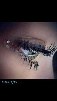 LtefhS's profile picture. 