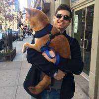 Collin Creange (@collinmd) 's Twitter Profile