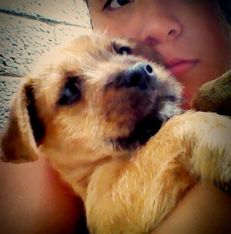 L_Ove_For_You's profile picture. Holi:3 Me Llamo Laura Y Tengo Un Canal En Youtube Les Agradeceria Mucho Si Se Subscribieran Seria Hermoso Ademas Soy Coder @SomosCD9 ❤✌