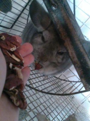 We #followback & sell pecans we grow naturally & Avon. We enjoy birding, reading, art, hiking, traveling, concerts, theatre, jokes, tips, movies, & fine dining.