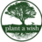 Plant a Wish
