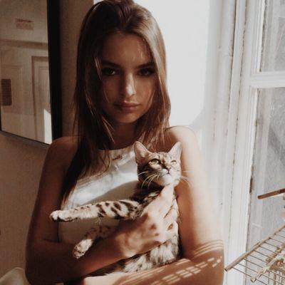 Iriatty's profile picture. Misteriosa, imaginativa, sarcástica... ¡y de Ravenclaw! (7° curso). Atraída por los gatos y la luna. ♡ 

{#Pottertty} ⚡ #ED