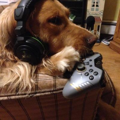 Islanders fan for life, Xbox Series X/PlayStation 5/Nintendo Switch gamer, big fan of Zelda: BOTW. Love pizza, my dogs and my games!!!