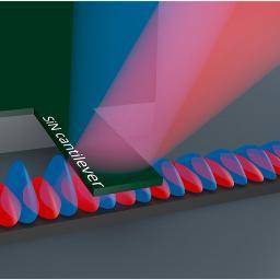 Center for Photonics & 2D Materials