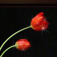 أستغفر الله (@ahmad99243959) 's Twitter Profile