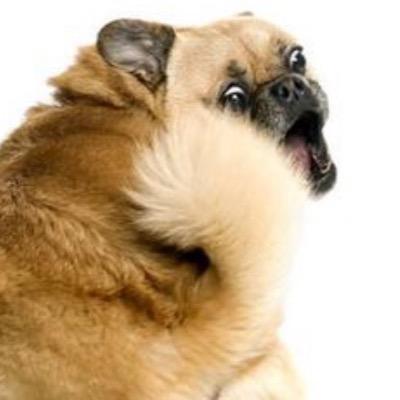 amyjamykiara's profile picture. 