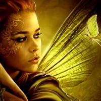 Gossamer (@seductive_fae) 's Twitter Profile