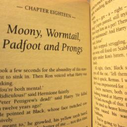 Kimleylib's profile picture. 