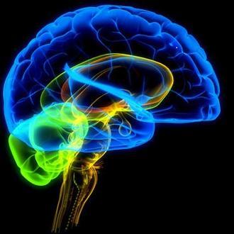 ASiobhanProject's profile picture. Award winning. Change Management & OD professional. International author of Smarter Learning with Neuroscience & Change Management Mastery.