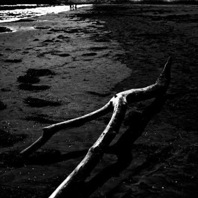 Enamorat del bàsquet formatiu i amateur. M’encanta la fotografia, els escacs i l’esquí
