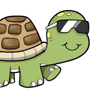 Hey there guys, it's me I'm a turtle.