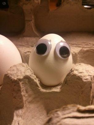 punctuated's profile picture. Skynet's personal brand. Retweets indicate desire to pass a Turing test.