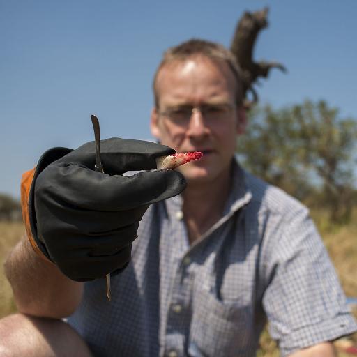 Landscape ecologist particularly interested in migrations @UofGlasgow @IBAHCM #Glasgow #Tanzania #Serengeti