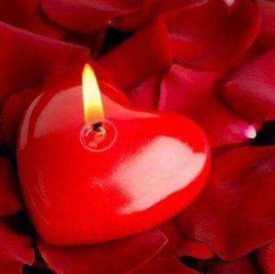 aa12aa1194's profile picture. 