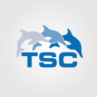 TSC Strategic(@TSCstrategic) 's Twitter Profile Photo