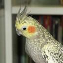 Harvey Byrd - @Harveybyrd - Twitter