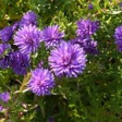 hiap3ryk's profile picture. 