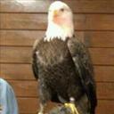 morris webb - @sniperldr - Twitter