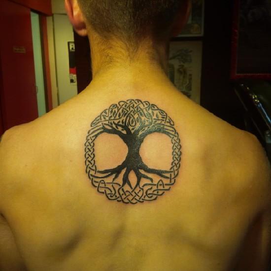 taloxei_nc's profile picture. Dev