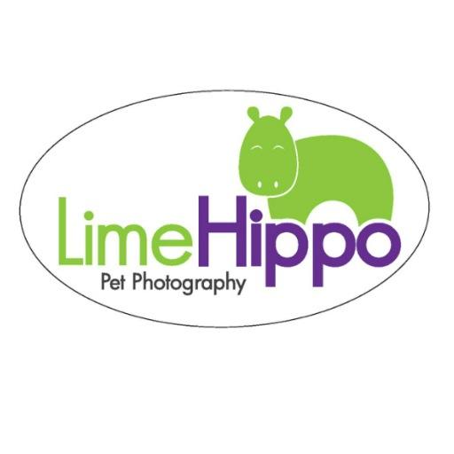 Pets & their people  ~ 20 years professional experience. Available for  on-location & Commercial Sessions. 
Full service studio. limehippophoto@gmail.com