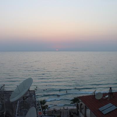 just_nilguen's profile picture. 