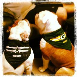 We are two typical bulldogs that are lazy, stubborn, goofy, loving, loyal and freindly (most of the time). We offer our guidance to foster dogs for rescues.