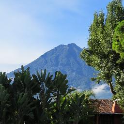 SOILPROTECTIONS's profile picture. 