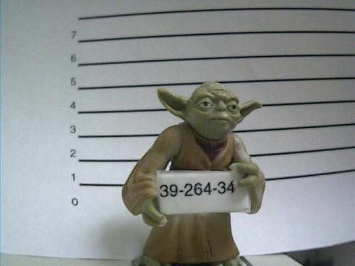 phantomyoda's profile picture. 