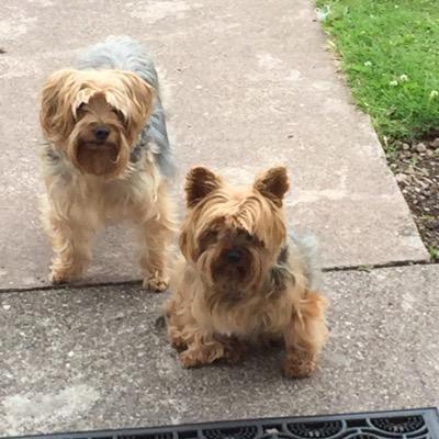 ecrots's profile picture. 