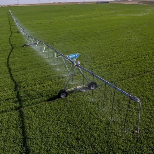 pipelecueder's profile picture. ing agrónomo 🌱 papá de facundo y santiago