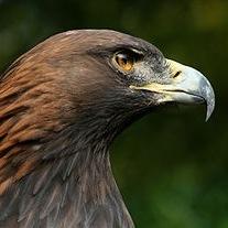 leonix237's profile picture. 