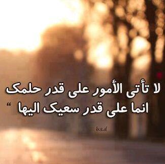 فؤاد هاشم مامون Profile