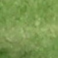 InvisibleGardener (@handmeahoe) 's Twitter Profile