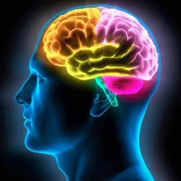 Noticiosidad's profile picture. Observa, analiza, actúa.