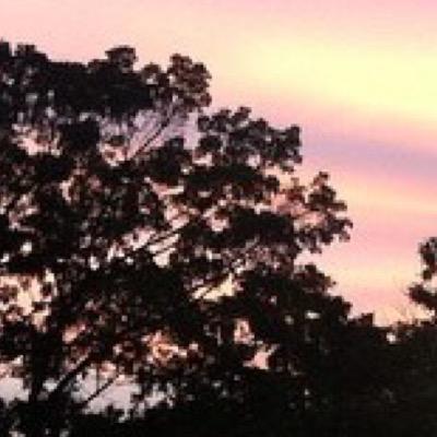 Swiftlyfree's profile picture. 