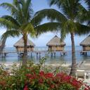 Tracy Walpole - @tracy_walpole - Twitter