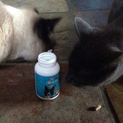 QPets provides quality vitamins, minerals and amino acids in a chewable, easy-to-digest wafer formulated for optimal brain health and nutrition for cats & dogs