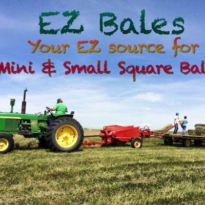 Your EZ source for Mini Hay, Mini Straw bales and Small Square hay bales - an that's no EZ task!