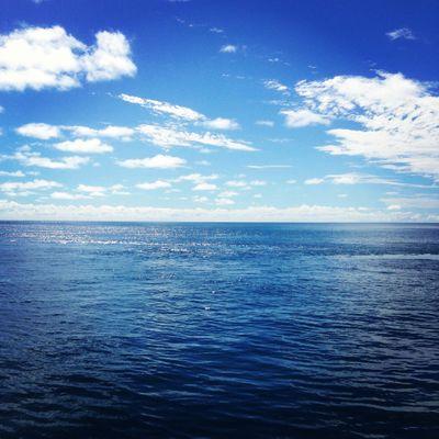 zhi12196's profile picture. 