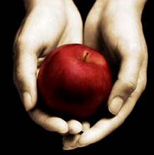 twilightblogger's profile picture. We live where Twilight was filmed. Come visit us!